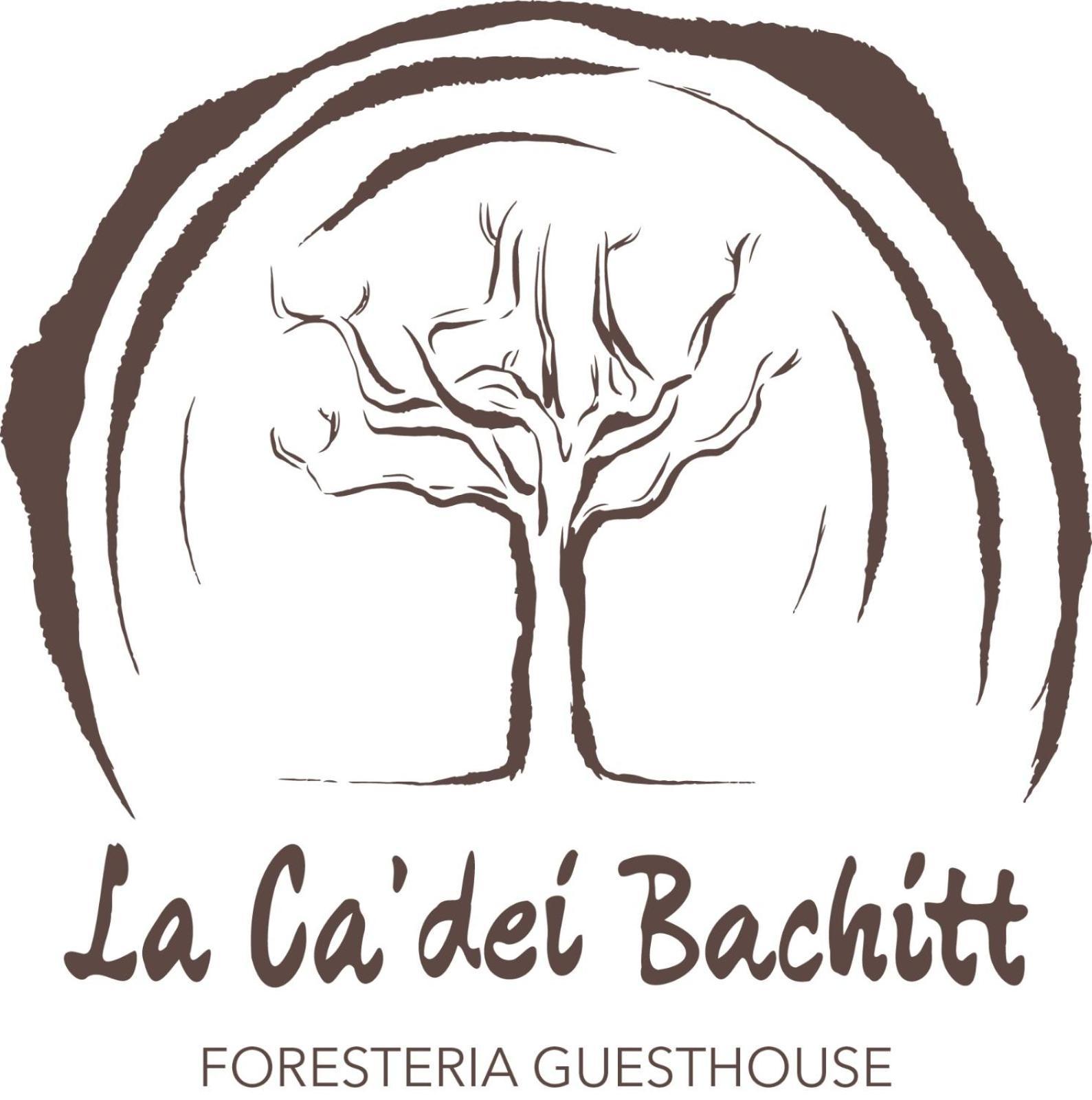 Foresteria Guesthouse Ca' Dei Bachitt Lierna Εξωτερικό φωτογραφία